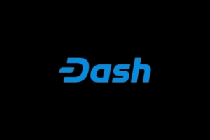 what is dash